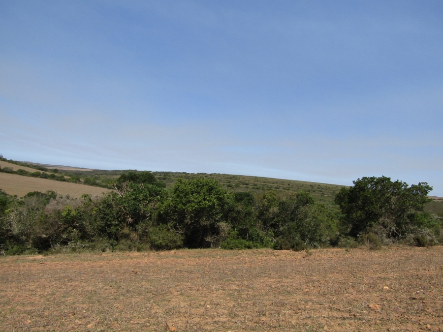 Commercial Property for Sale in Humansdorp Rural Eastern Cape
